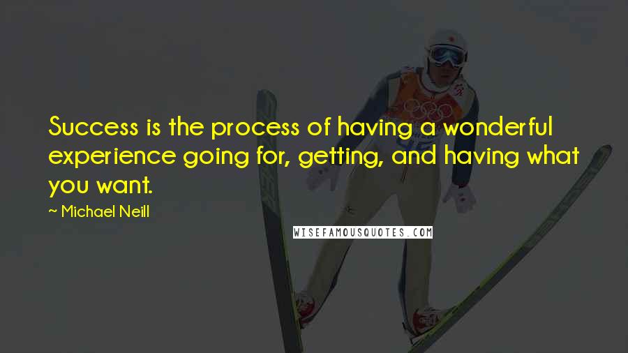 Michael Neill Quotes: Success is the process of having a wonderful experience going for, getting, and having what you want.