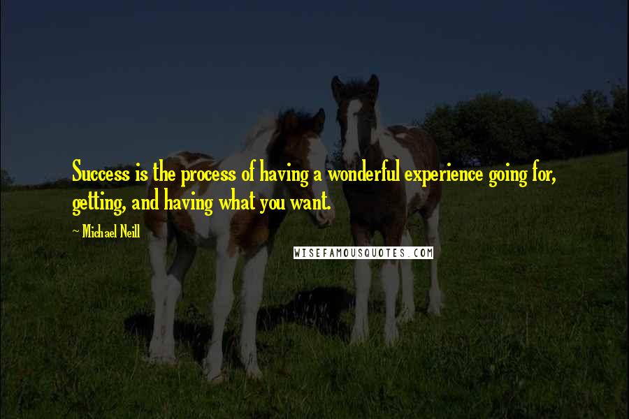 Michael Neill Quotes: Success is the process of having a wonderful experience going for, getting, and having what you want.