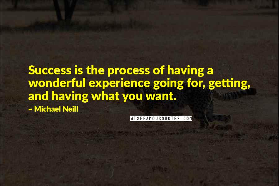 Michael Neill Quotes: Success is the process of having a wonderful experience going for, getting, and having what you want.