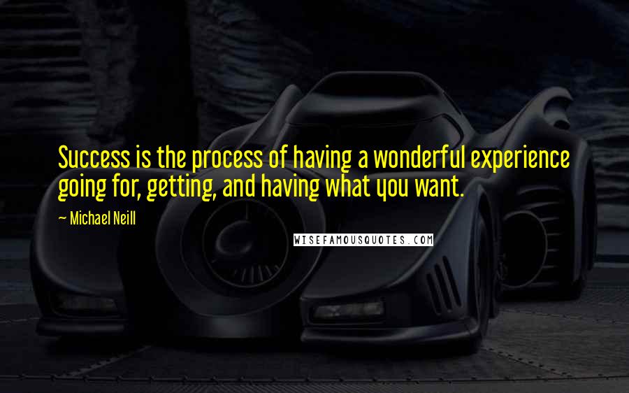 Michael Neill Quotes: Success is the process of having a wonderful experience going for, getting, and having what you want.