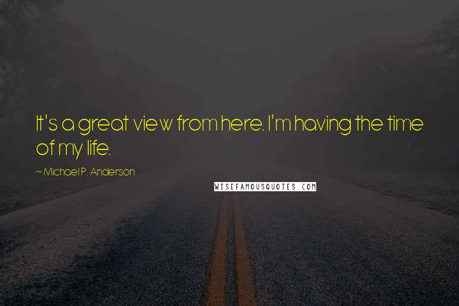 Michael P. Anderson Quotes: It's a great view from here. I'm having the time of my life.