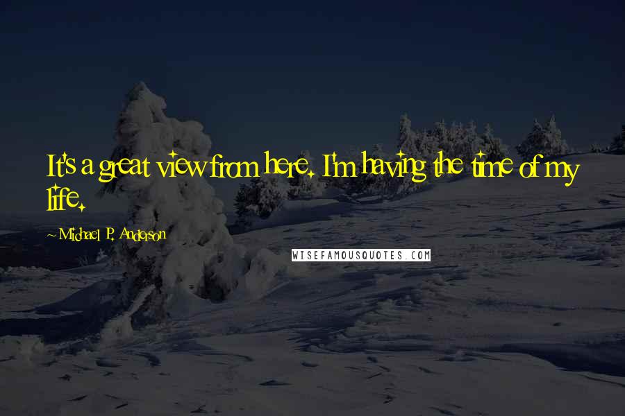 Michael P. Anderson Quotes: It's a great view from here. I'm having the time of my life.