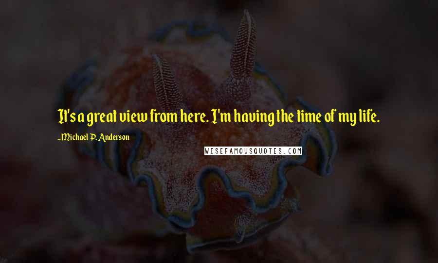 Michael P. Anderson Quotes: It's a great view from here. I'm having the time of my life.