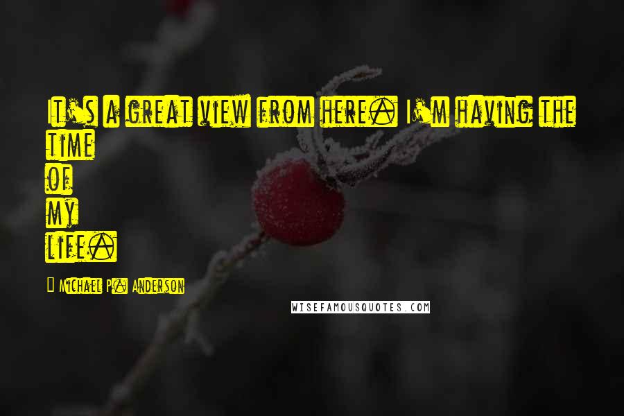 Michael P. Anderson Quotes: It's a great view from here. I'm having the time of my life.