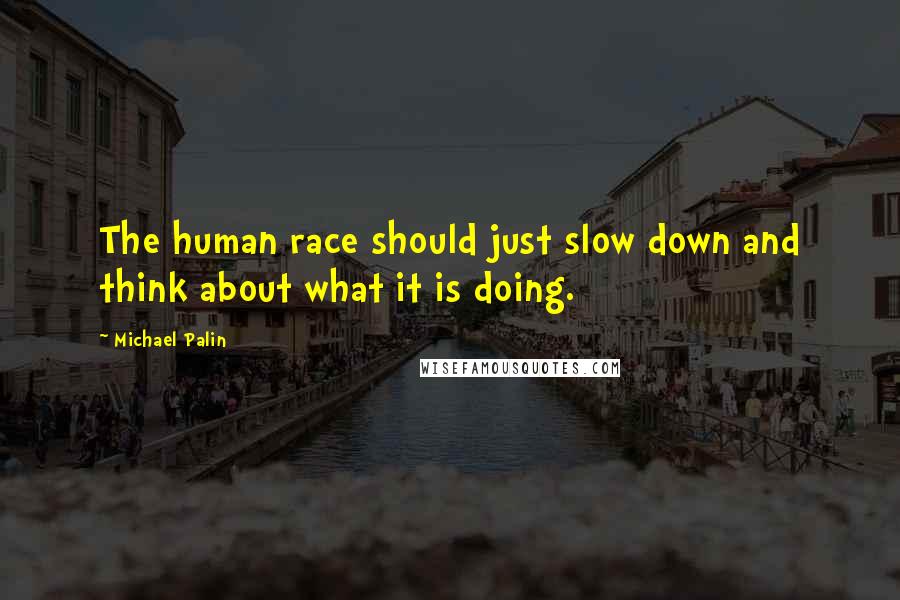 Michael Palin Quotes: The human race should just slow down and think about what it is doing.