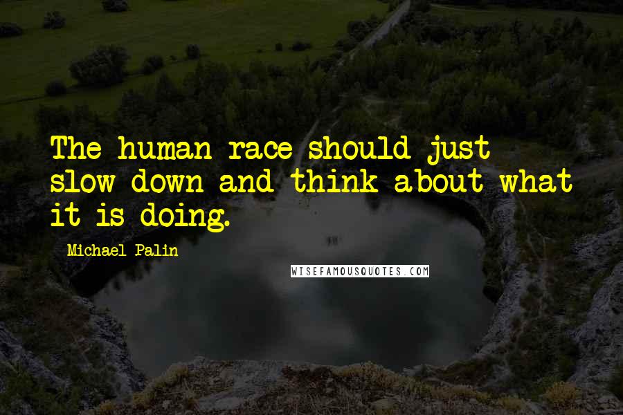 Michael Palin Quotes: The human race should just slow down and think about what it is doing.