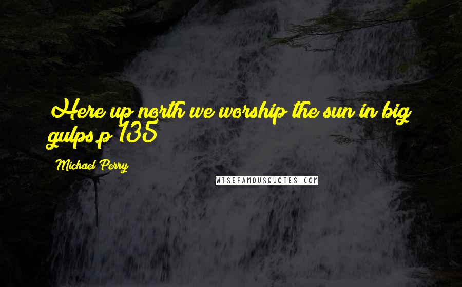 Michael Perry Quotes: Here up north we worship the sun in big gulps.p 135