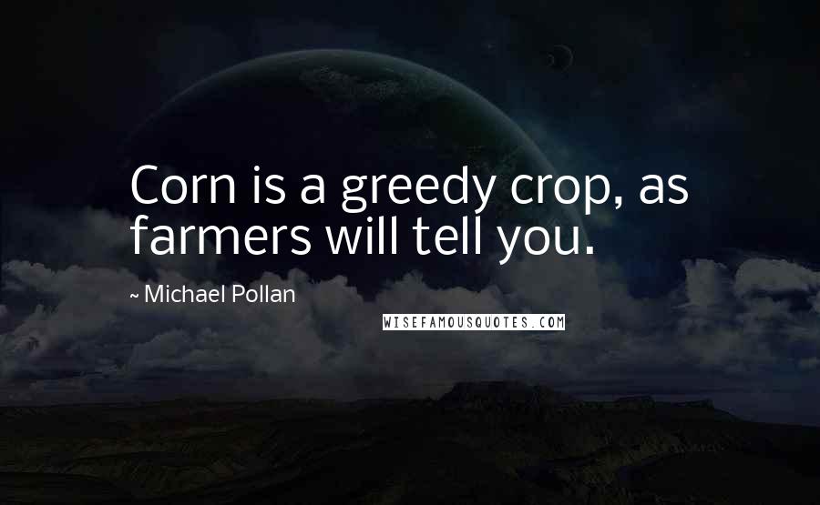 Michael Pollan Quotes: Corn is a greedy crop, as farmers will tell you.