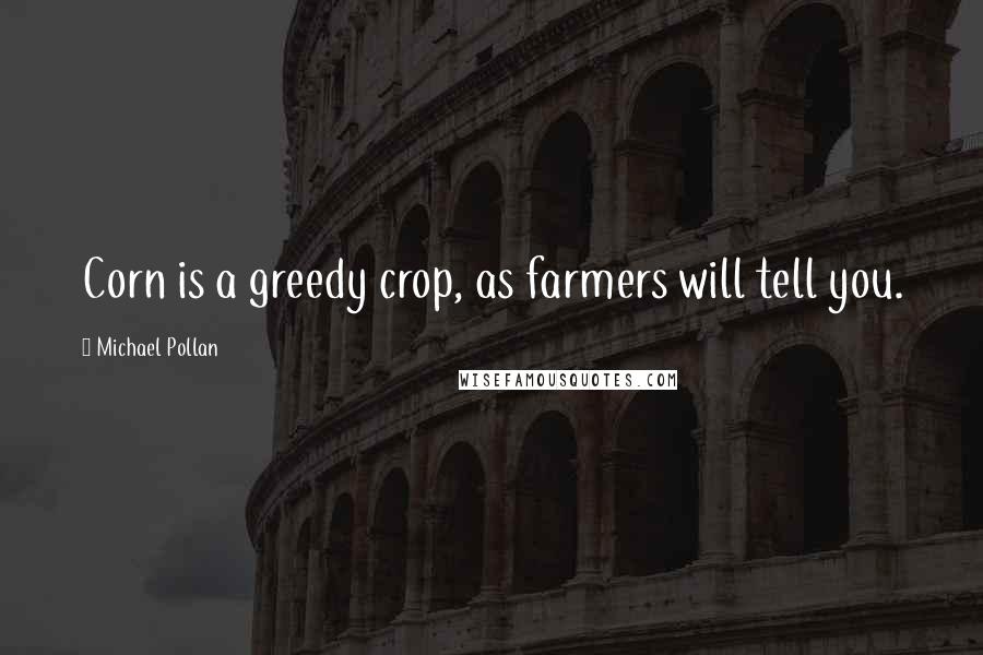 Michael Pollan Quotes: Corn is a greedy crop, as farmers will tell you.