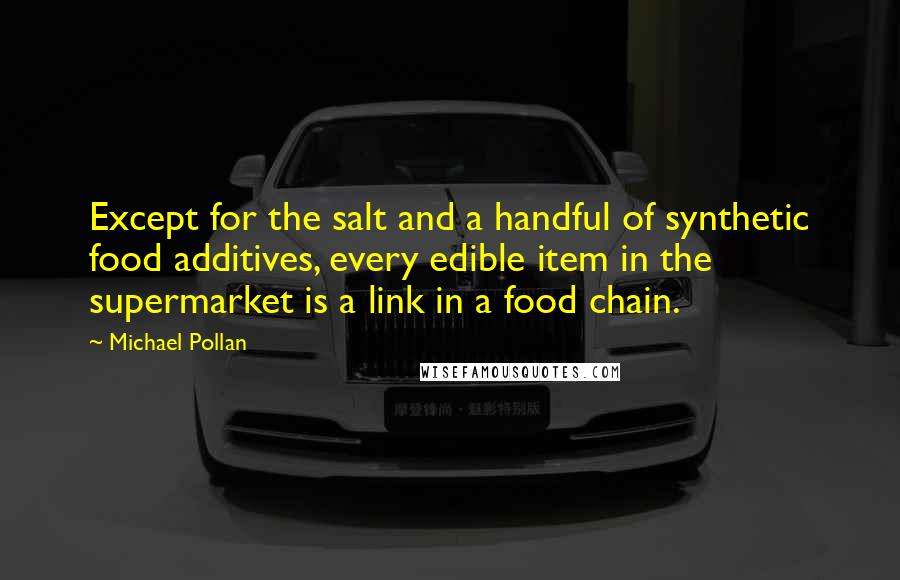 Michael Pollan Quotes: Except for the salt and a handful of synthetic food additives, every edible item in the supermarket is a link in a food chain.