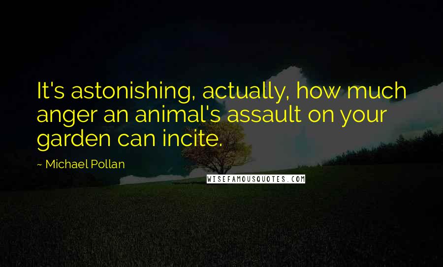 Michael Pollan Quotes: It's astonishing, actually, how much anger an animal's assault on your garden can incite.