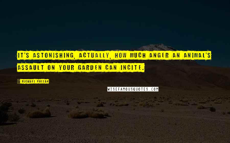 Michael Pollan Quotes: It's astonishing, actually, how much anger an animal's assault on your garden can incite.