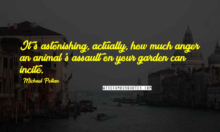 Michael Pollan Quotes: It's astonishing, actually, how much anger an animal's assault on your garden can incite.