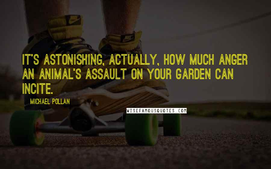 Michael Pollan Quotes: It's astonishing, actually, how much anger an animal's assault on your garden can incite.
