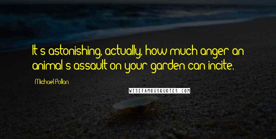 Michael Pollan Quotes: It's astonishing, actually, how much anger an animal's assault on your garden can incite.