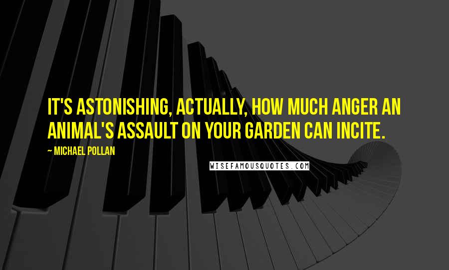 Michael Pollan Quotes: It's astonishing, actually, how much anger an animal's assault on your garden can incite.