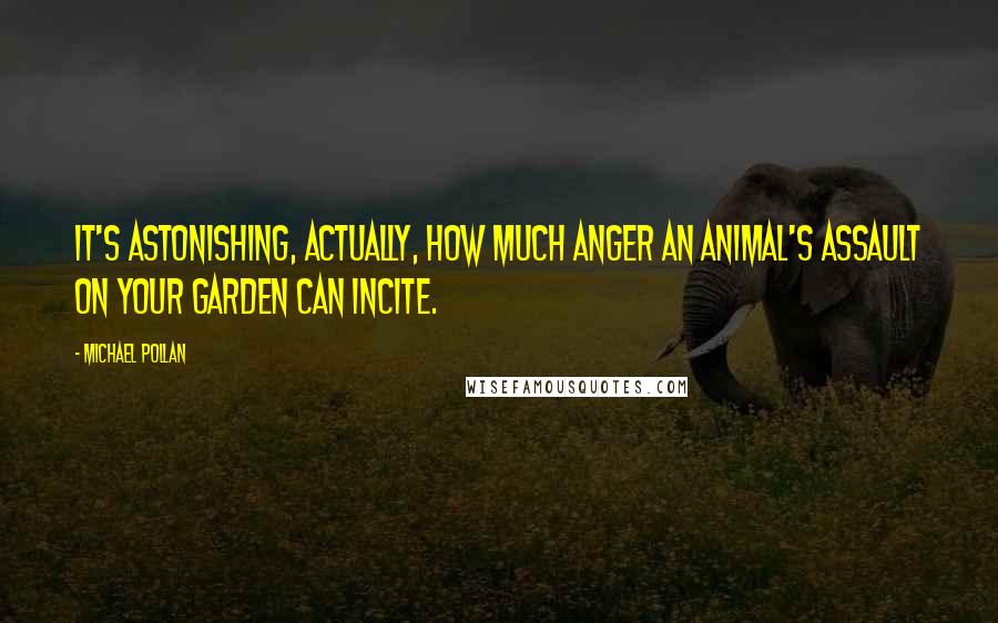 Michael Pollan Quotes: It's astonishing, actually, how much anger an animal's assault on your garden can incite.
