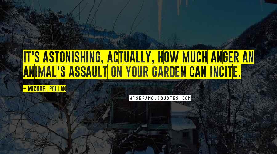Michael Pollan Quotes: It's astonishing, actually, how much anger an animal's assault on your garden can incite.