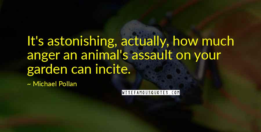Michael Pollan Quotes: It's astonishing, actually, how much anger an animal's assault on your garden can incite.