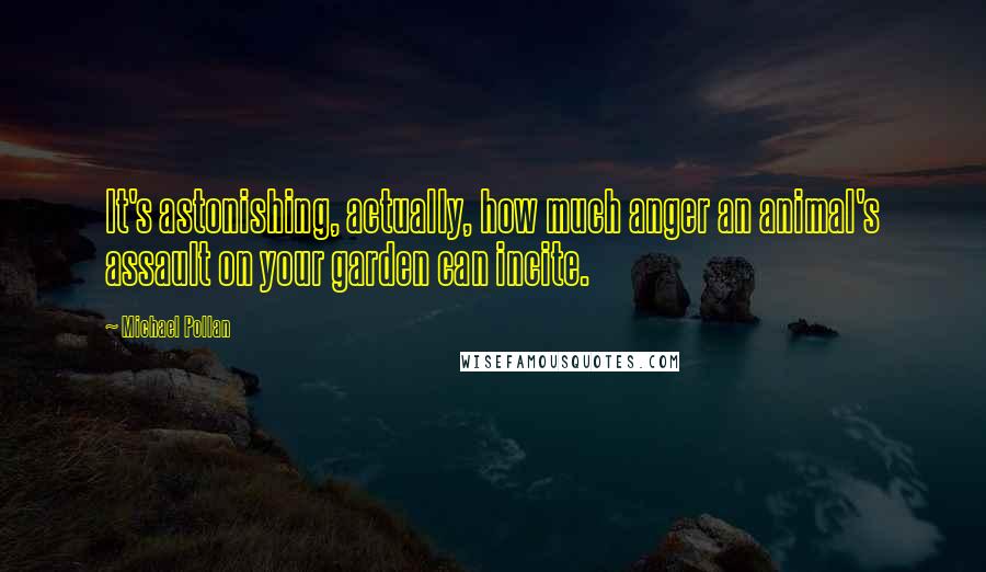 Michael Pollan Quotes: It's astonishing, actually, how much anger an animal's assault on your garden can incite.