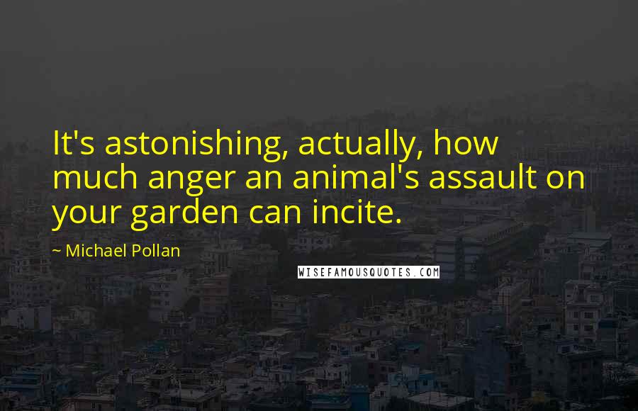 Michael Pollan Quotes: It's astonishing, actually, how much anger an animal's assault on your garden can incite.