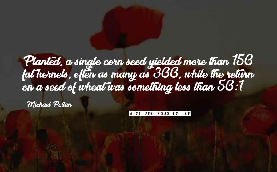 Michael Pollan Quotes: Planted, a single corn seed yielded more than 150 fat kernels, often as many as 300, while the return on a seed of wheat was something less than 50:1