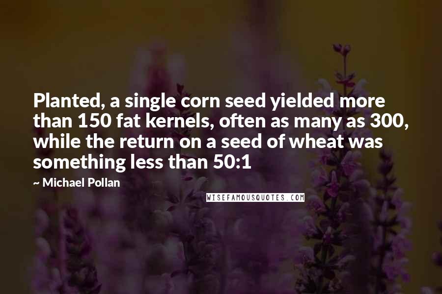 Michael Pollan Quotes: Planted, a single corn seed yielded more than 150 fat kernels, often as many as 300, while the return on a seed of wheat was something less than 50:1