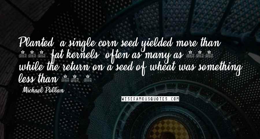Michael Pollan Quotes: Planted, a single corn seed yielded more than 150 fat kernels, often as many as 300, while the return on a seed of wheat was something less than 50:1
