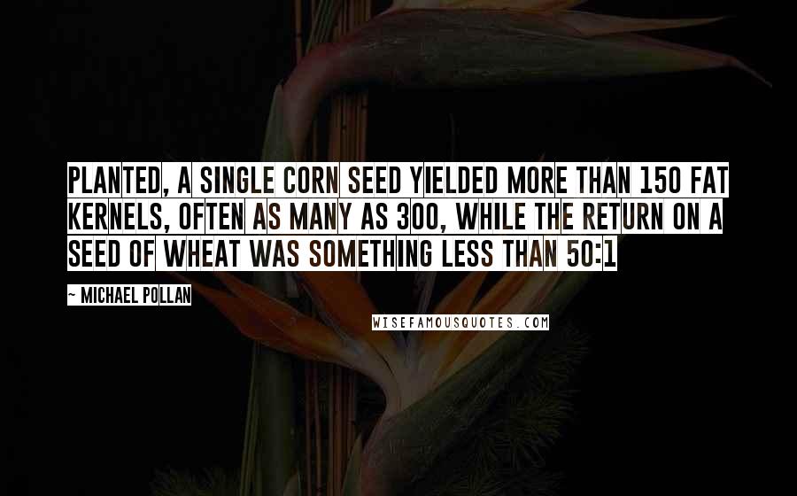 Michael Pollan Quotes: Planted, a single corn seed yielded more than 150 fat kernels, often as many as 300, while the return on a seed of wheat was something less than 50:1