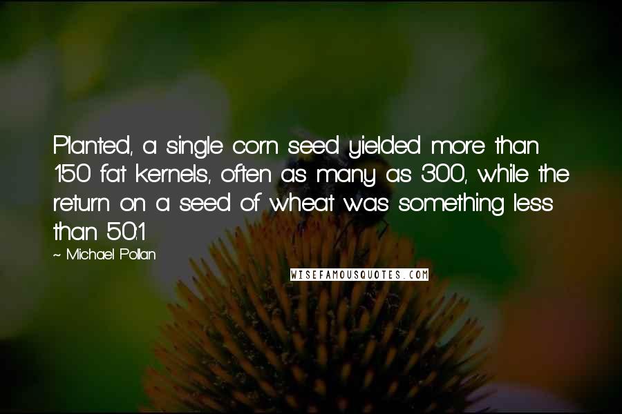 Michael Pollan Quotes: Planted, a single corn seed yielded more than 150 fat kernels, often as many as 300, while the return on a seed of wheat was something less than 50:1