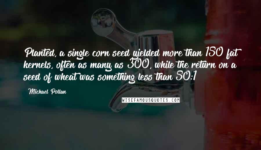 Michael Pollan Quotes: Planted, a single corn seed yielded more than 150 fat kernels, often as many as 300, while the return on a seed of wheat was something less than 50:1