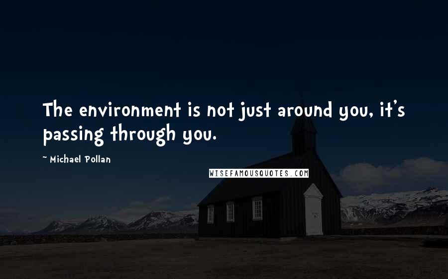 Michael Pollan Quotes: The environment is not just around you, it's passing through you.