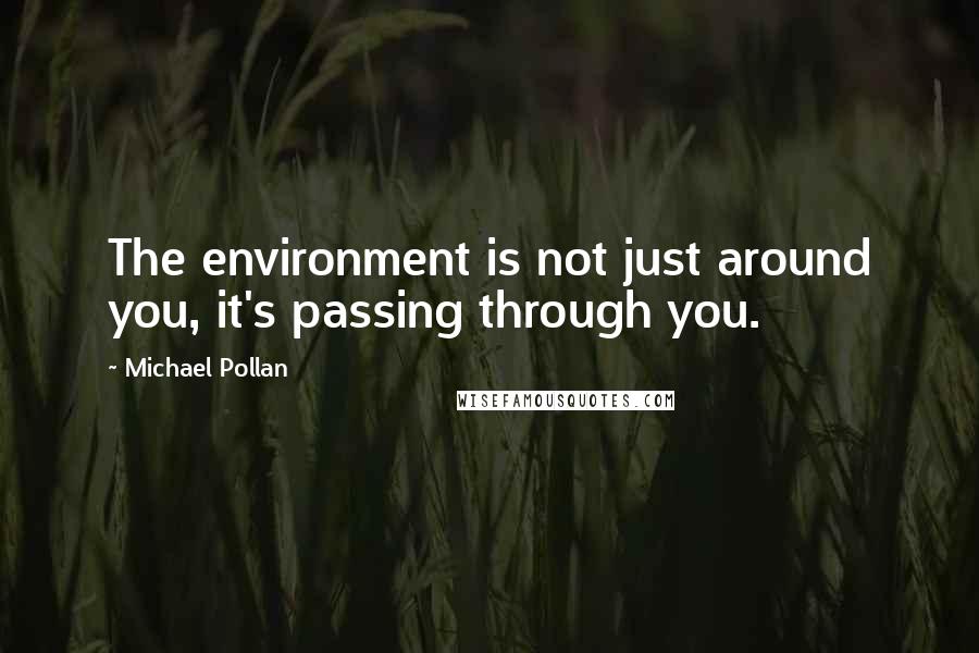 Michael Pollan Quotes: The environment is not just around you, it's passing through you.