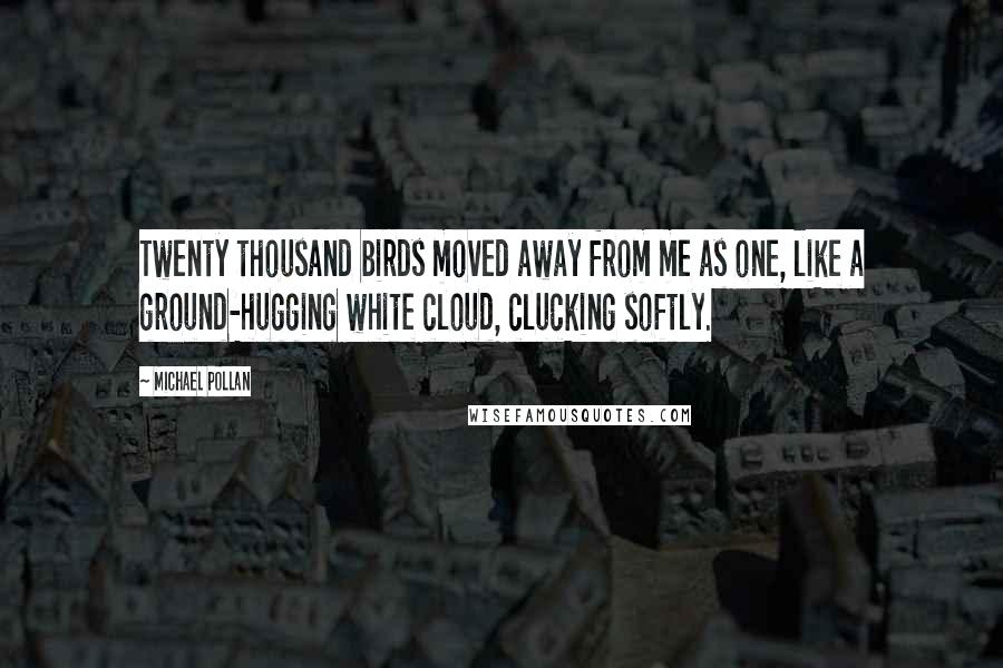 Michael Pollan Quotes: Twenty thousand birds moved away from me as one, like a ground-hugging white cloud, clucking softly.