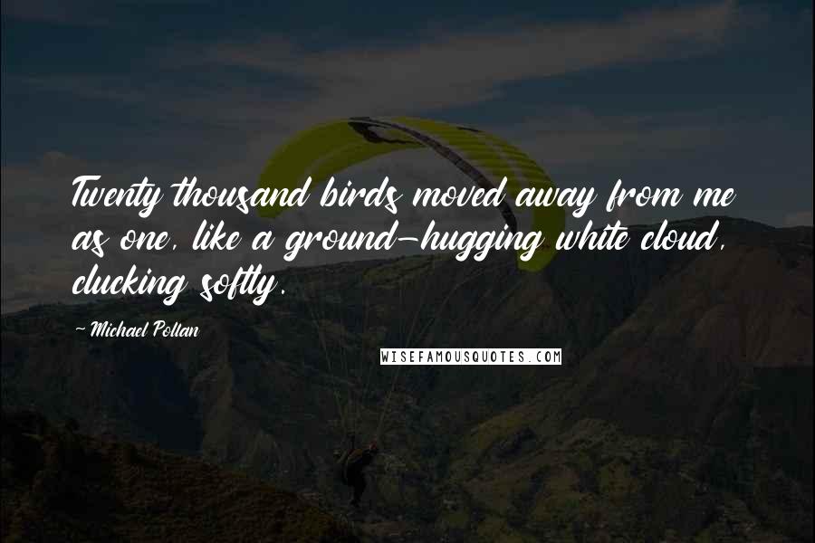 Michael Pollan Quotes: Twenty thousand birds moved away from me as one, like a ground-hugging white cloud, clucking softly.