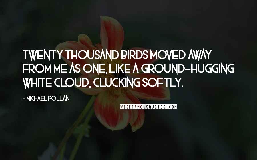 Michael Pollan Quotes: Twenty thousand birds moved away from me as one, like a ground-hugging white cloud, clucking softly.