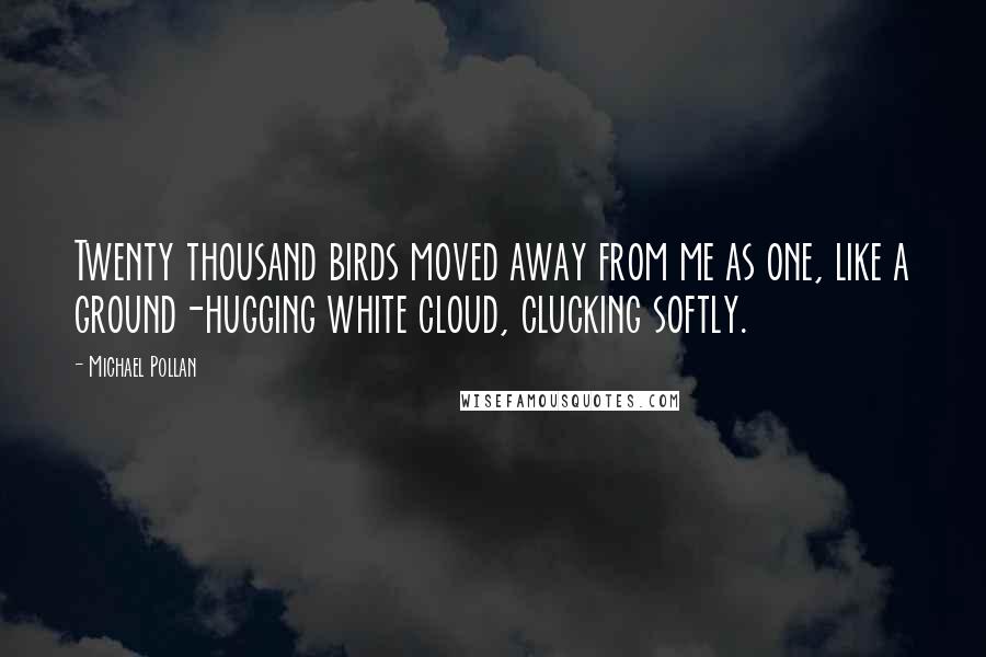 Michael Pollan Quotes: Twenty thousand birds moved away from me as one, like a ground-hugging white cloud, clucking softly.