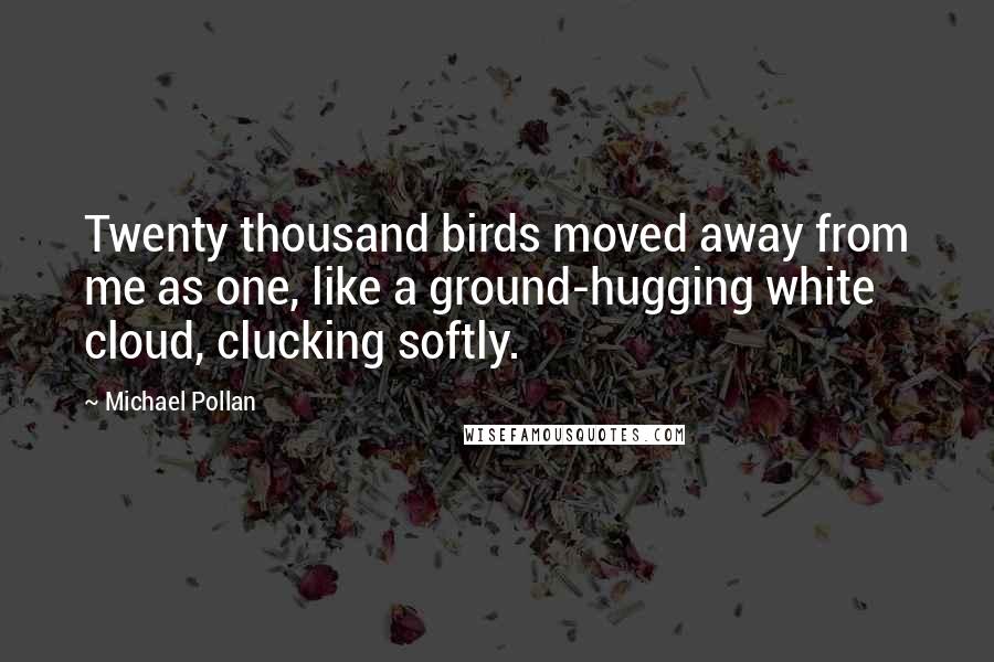 Michael Pollan Quotes: Twenty thousand birds moved away from me as one, like a ground-hugging white cloud, clucking softly.