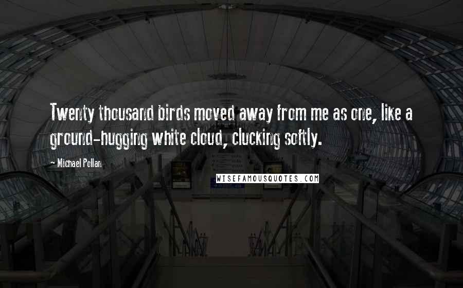 Michael Pollan Quotes: Twenty thousand birds moved away from me as one, like a ground-hugging white cloud, clucking softly.