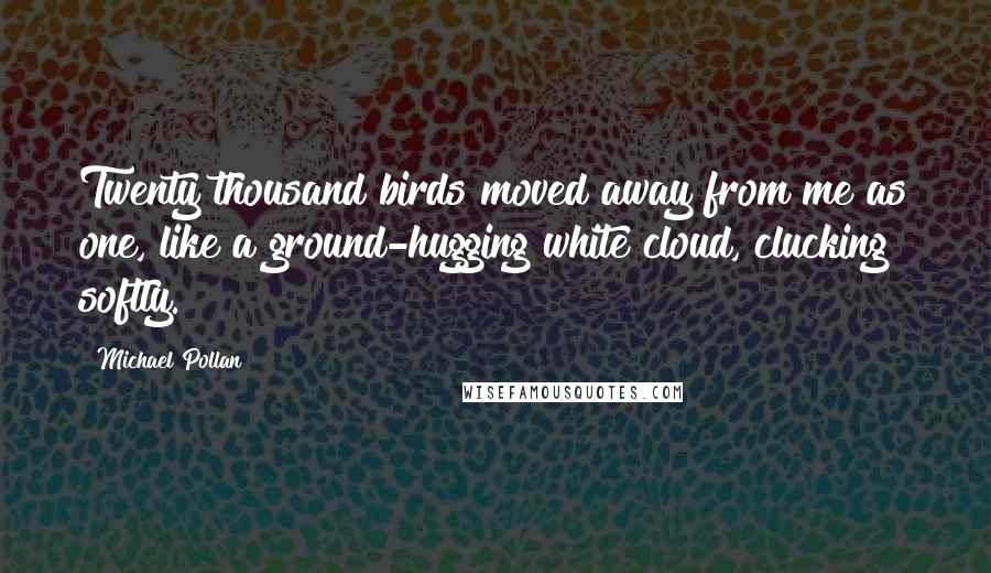 Michael Pollan Quotes: Twenty thousand birds moved away from me as one, like a ground-hugging white cloud, clucking softly.