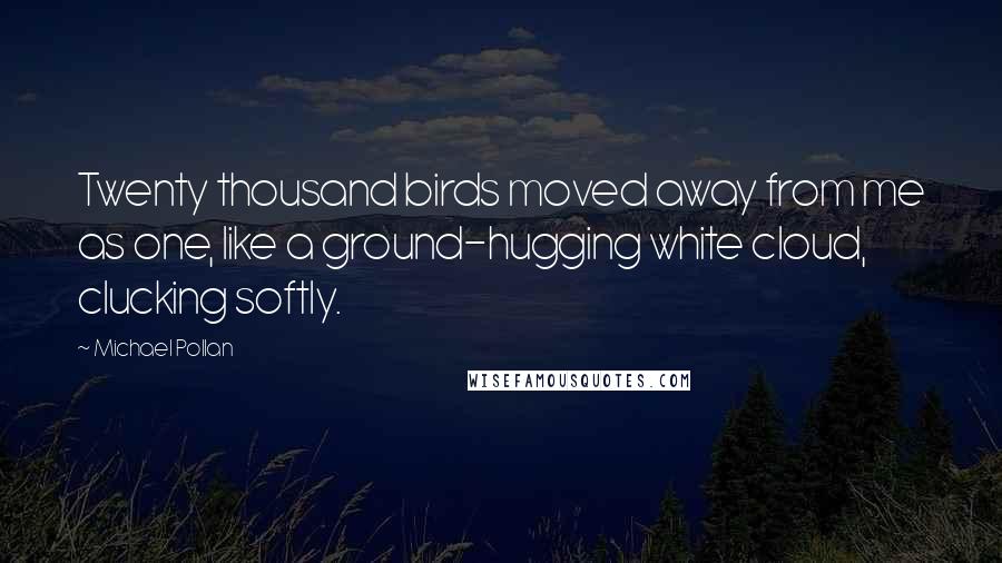 Michael Pollan Quotes: Twenty thousand birds moved away from me as one, like a ground-hugging white cloud, clucking softly.