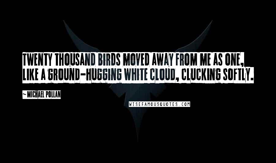 Michael Pollan Quotes: Twenty thousand birds moved away from me as one, like a ground-hugging white cloud, clucking softly.
