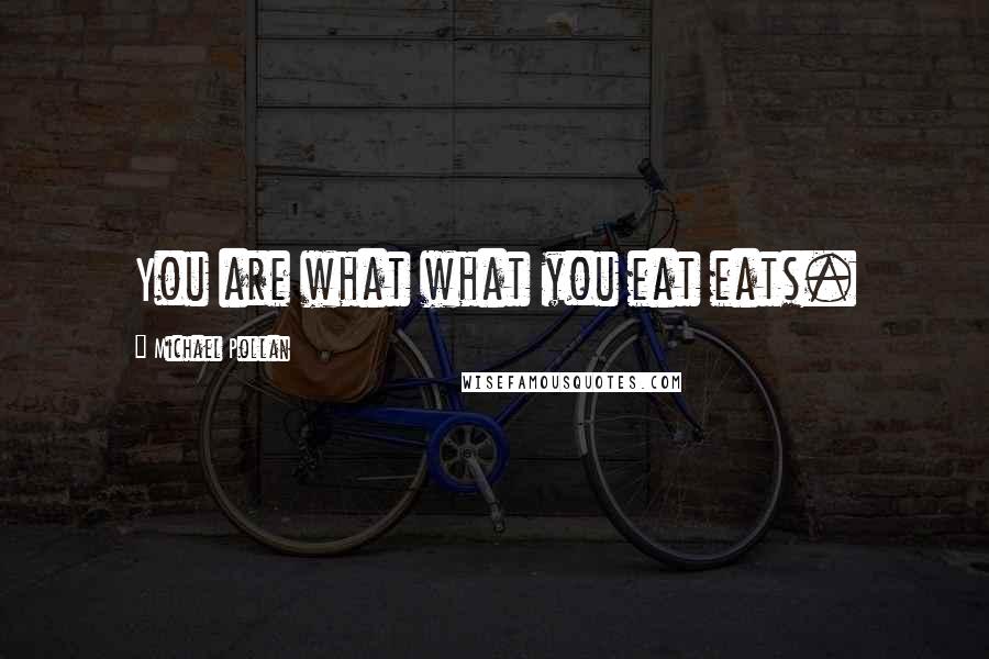 Michael Pollan Quotes: You are what what you eat eats.