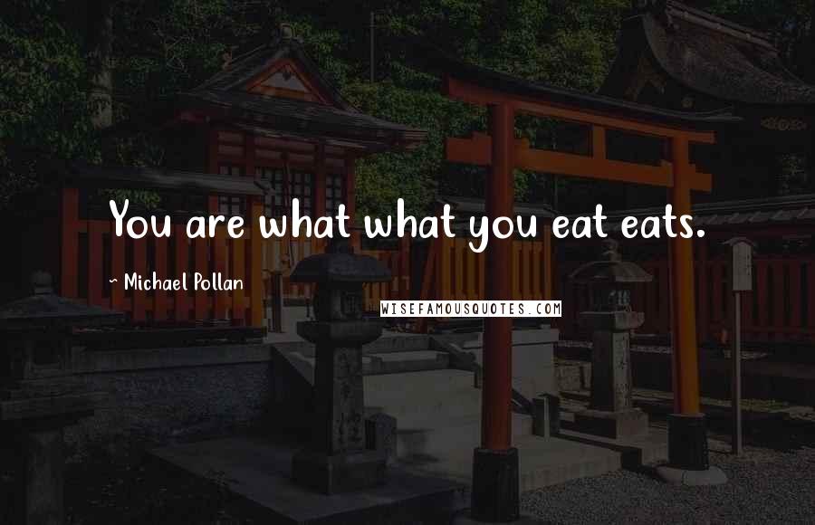 Michael Pollan Quotes: You are what what you eat eats.