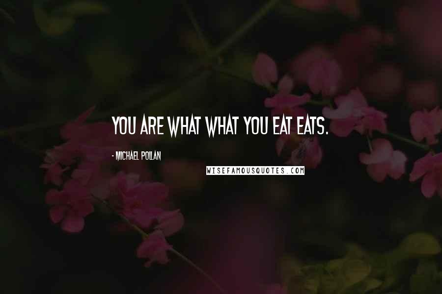 Michael Pollan Quotes: You are what what you eat eats.