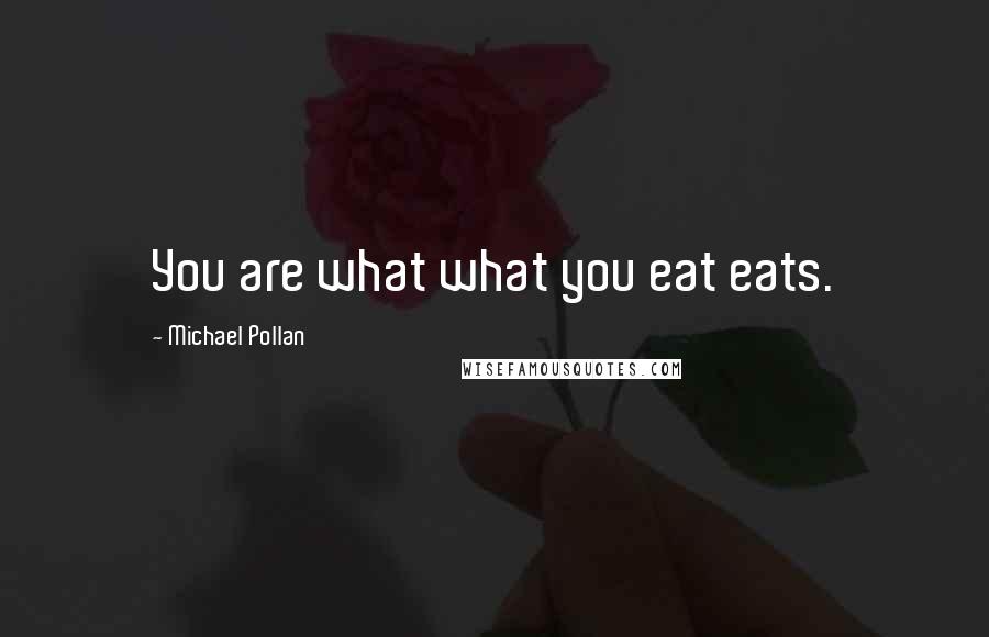 Michael Pollan Quotes: You are what what you eat eats.