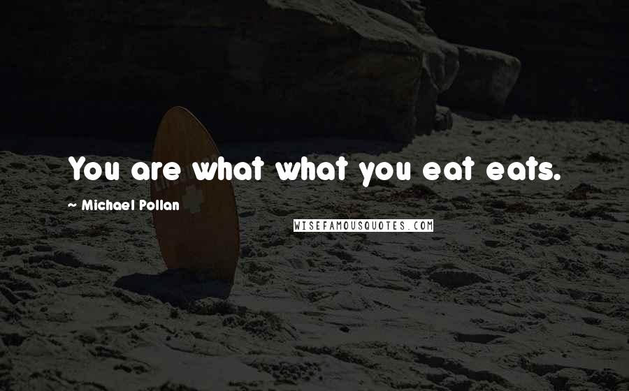 Michael Pollan Quotes: You are what what you eat eats.