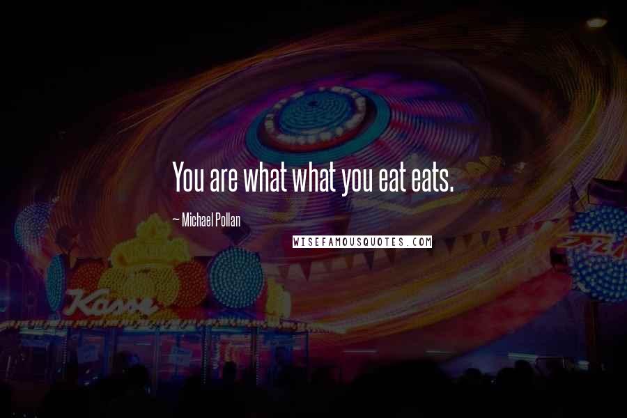 Michael Pollan Quotes: You are what what you eat eats.