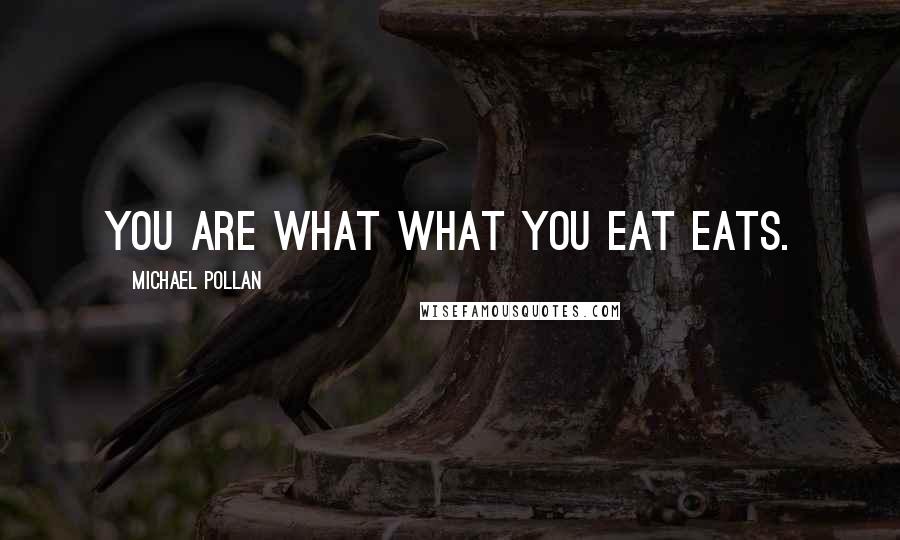 Michael Pollan Quotes: You are what what you eat eats.