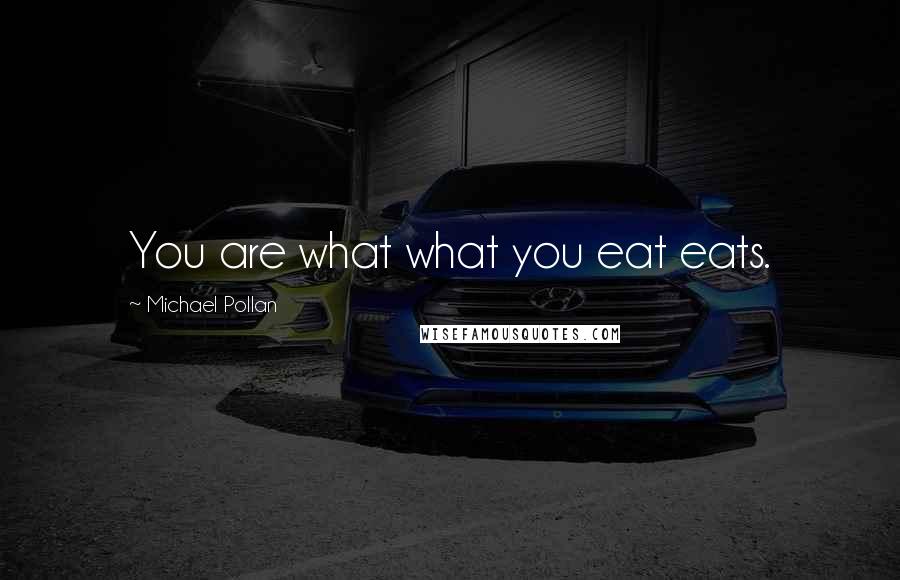 Michael Pollan Quotes: You are what what you eat eats.